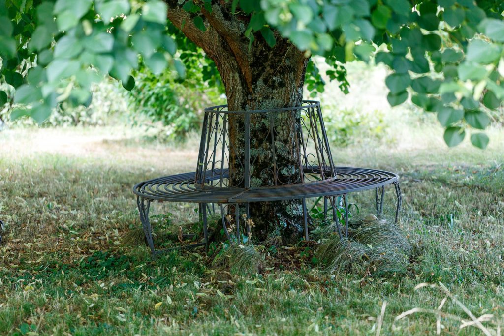 Banc sous le Tilleul, la Sauvagère