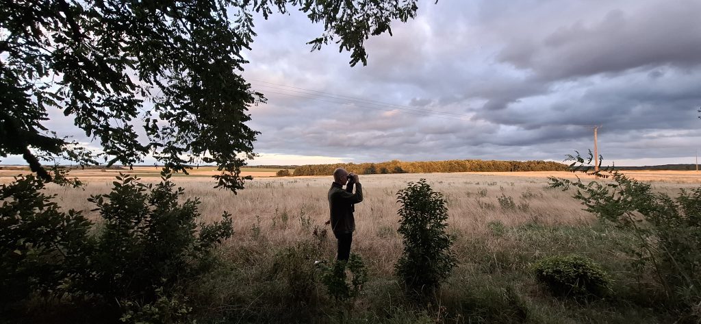 Observation de la faune et de la flore au petit matin, la Sauvagère