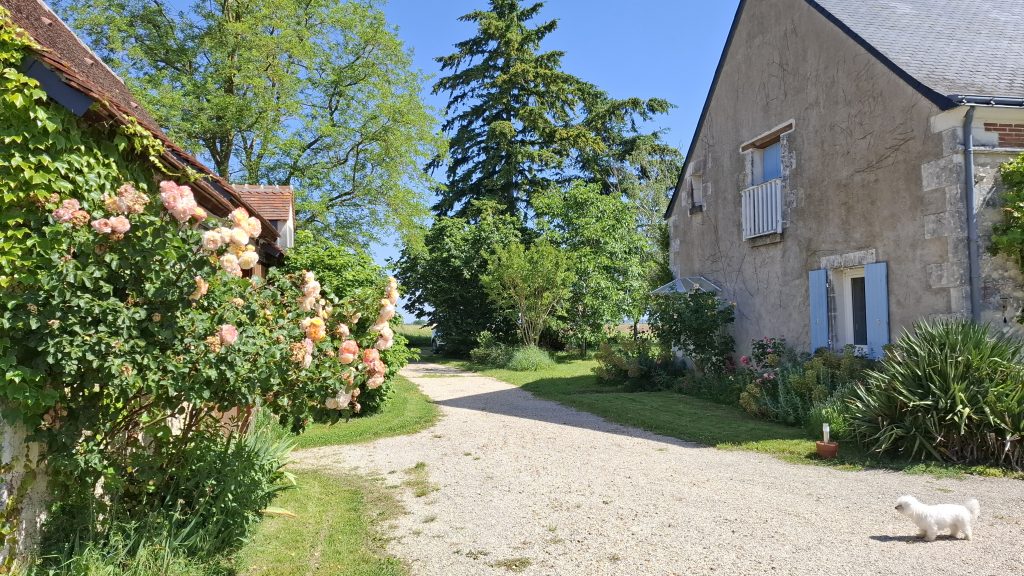 Le chemin entre grange et maison principale, la Sauvagère
