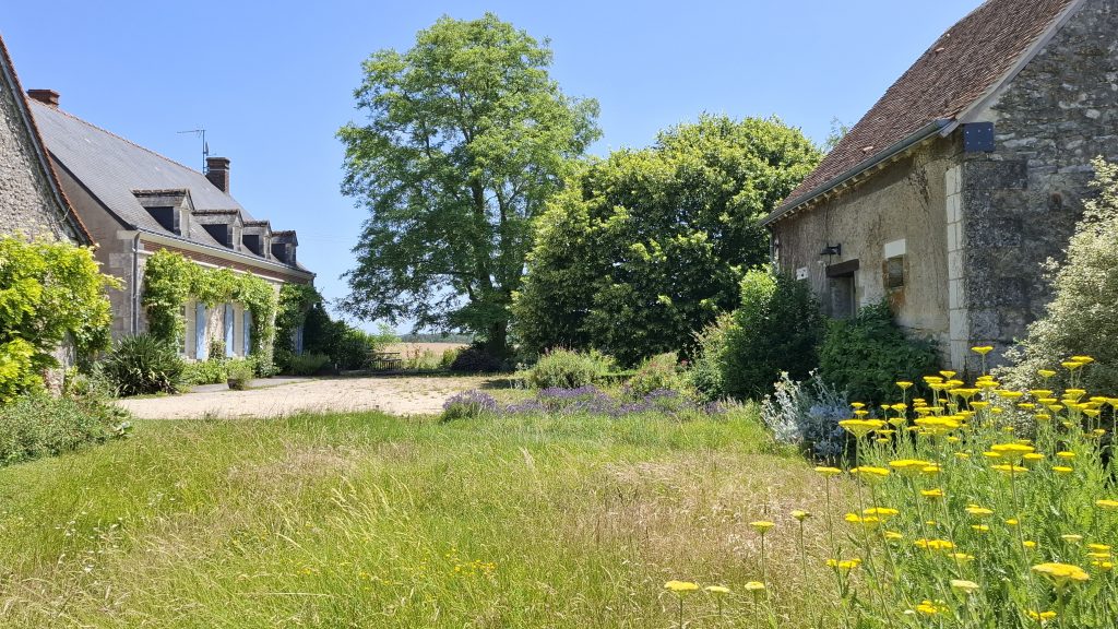 Vue sur maison principale et dépendances, la Sauvagère