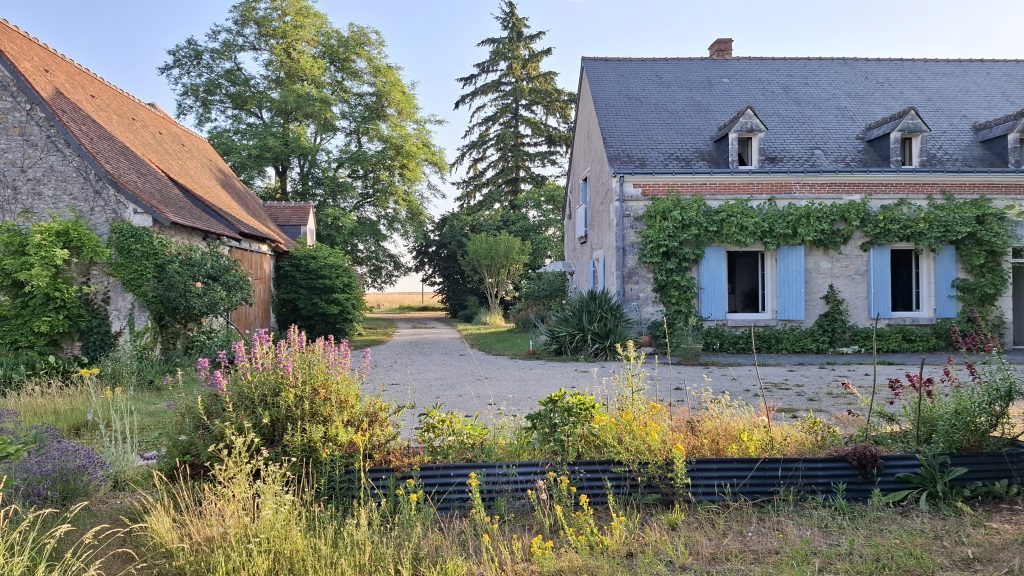 le chemín entre maison principale et grange, la Sauvagère